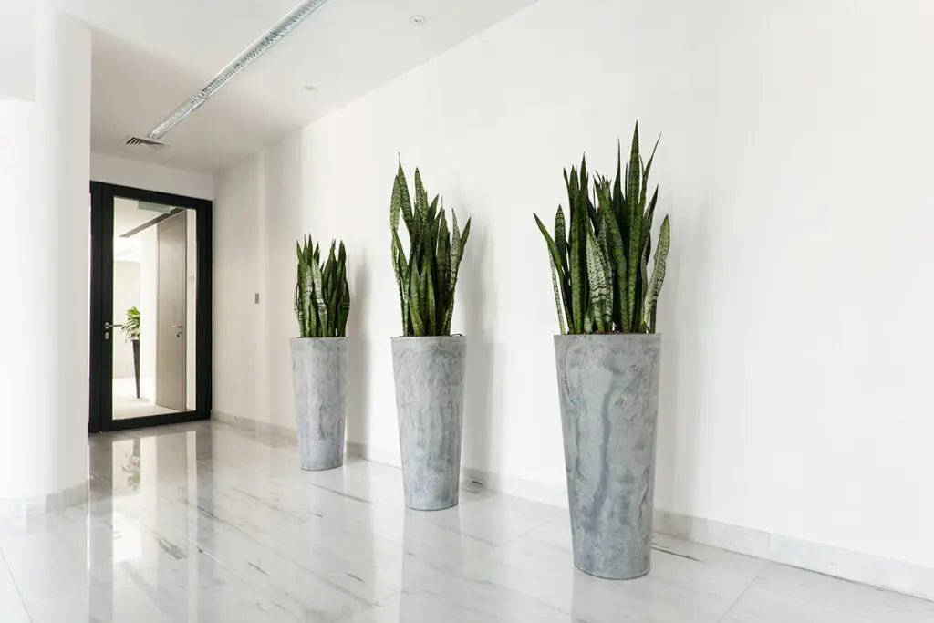 Discover the Versatility of Tall Indoor Planters for Stylish Living - Plantercraft