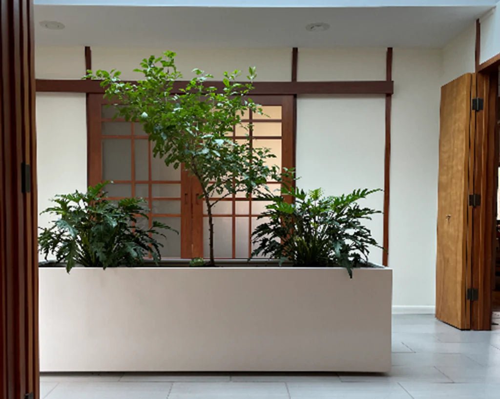 Creative Ways to Use a Large Indoor Planter Box in Your Home - Plantercraft